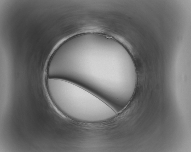 X0000112951383200908241018