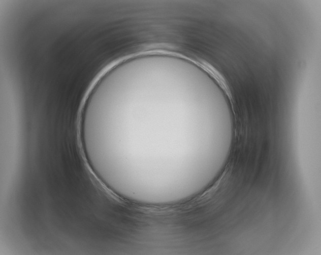 X0000112951384200908241018