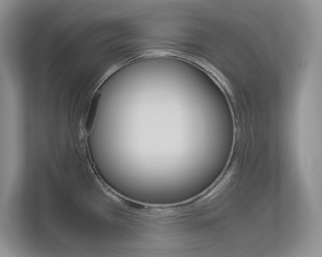 X0000112951385200908241018