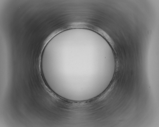 X0000112951386200908241018