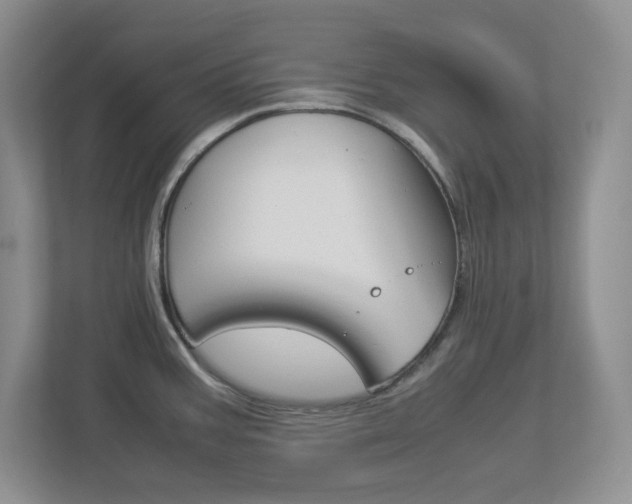 X0000112951387200908241018