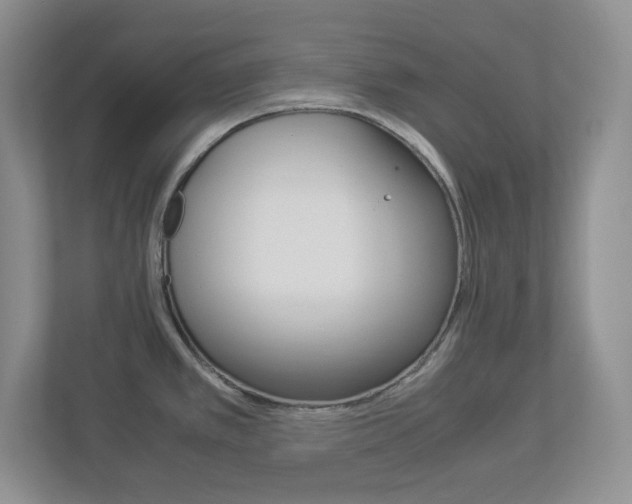 X0000112951389200908241018