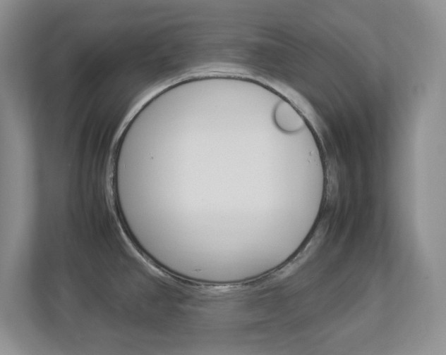 X0000112951390200908241018