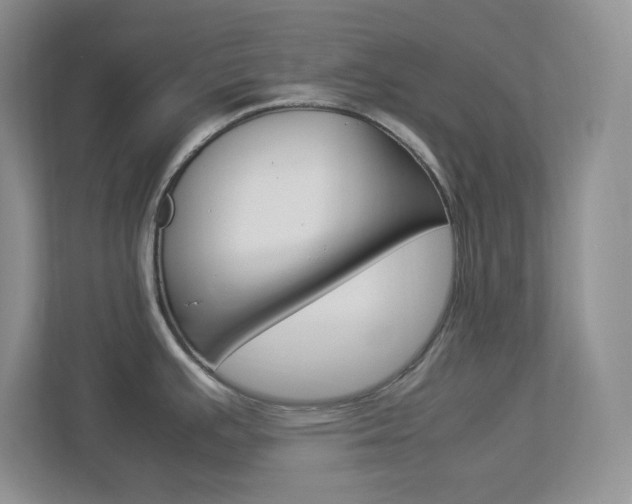 X0000112951391200908241018