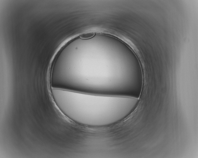 X0000112951392200908241018