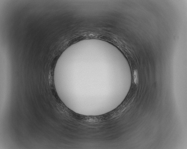 X0000112951395200908241017