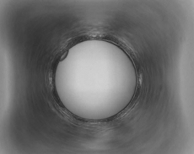 X0000112951396200908241017