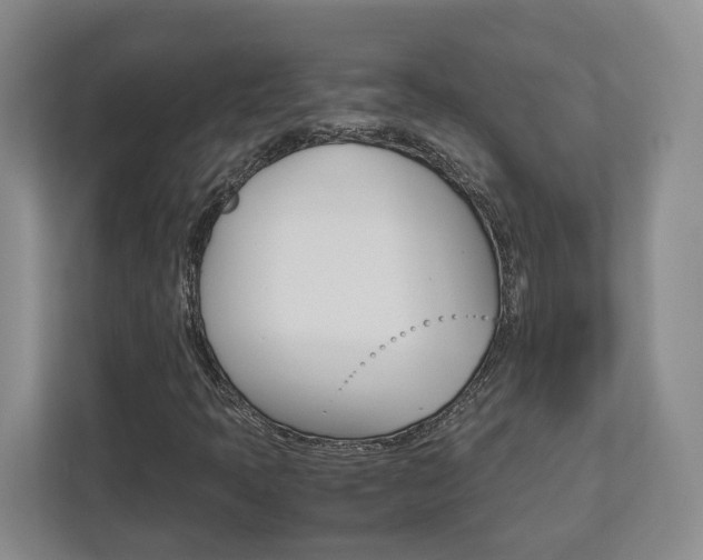 X0000112951397200908241017