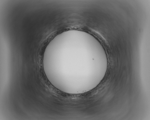 X0000112951399200908241017