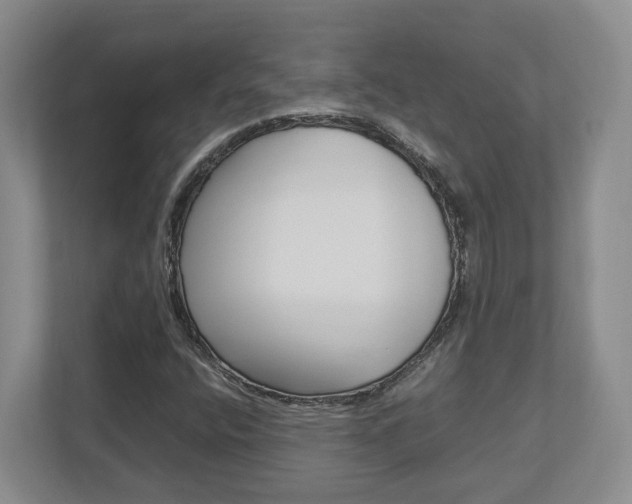 X0000112951400200908241017