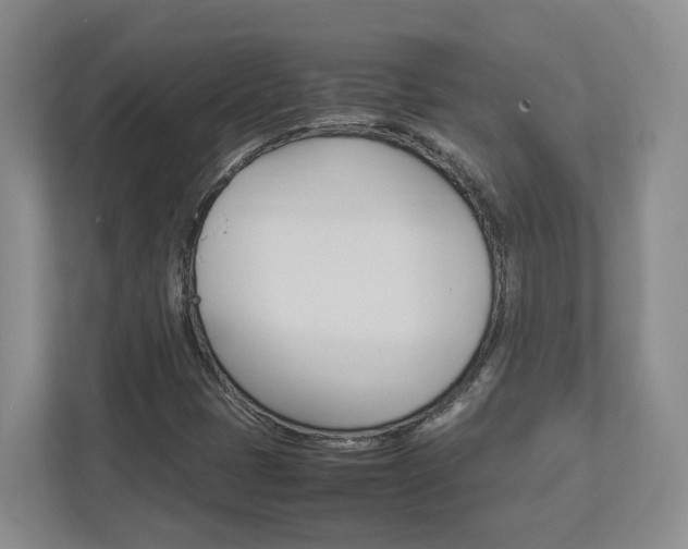 X0000112951401200908241017
