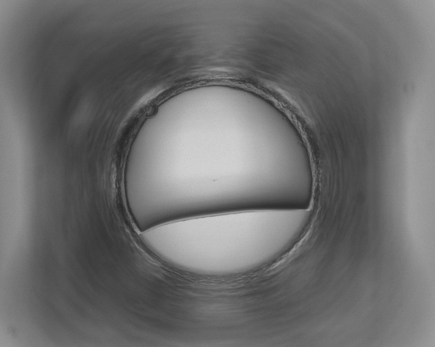 X0000112951402200908241017