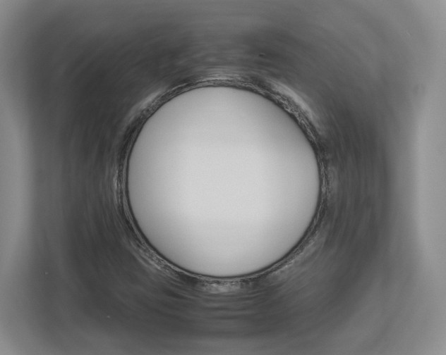 X0000112951403200908241017