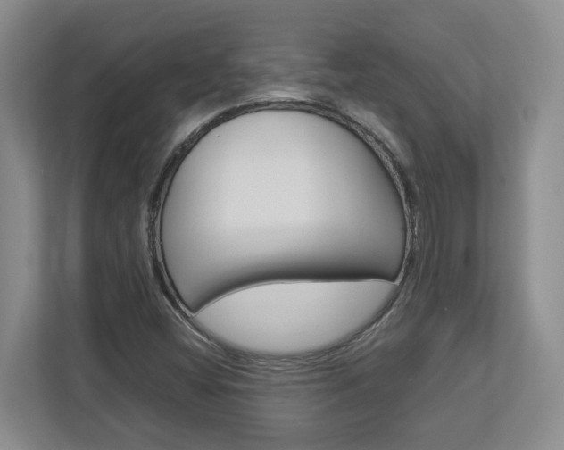 X0000112951404200908241017