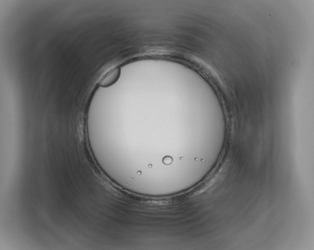X0000112951409200908241018