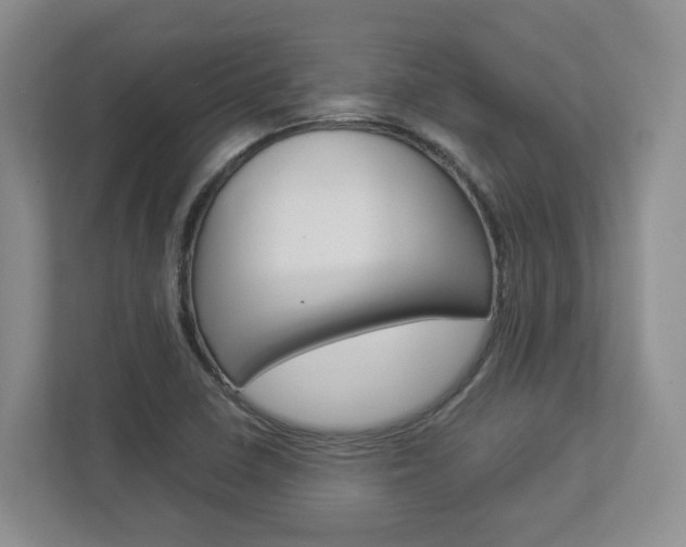X0000112951410200908241018