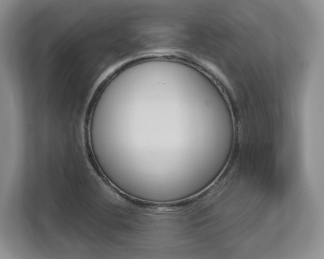 X0000112951412200908241018