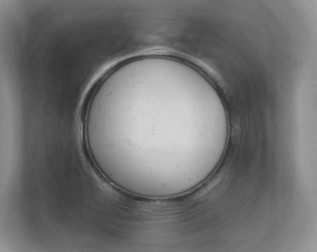 X0000112951414200908241018