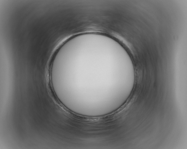 X0000112951415200908241018