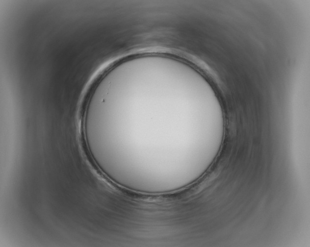X0000112951416200908241018