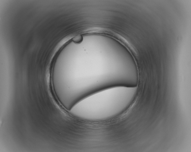 X0000112951418200908241018