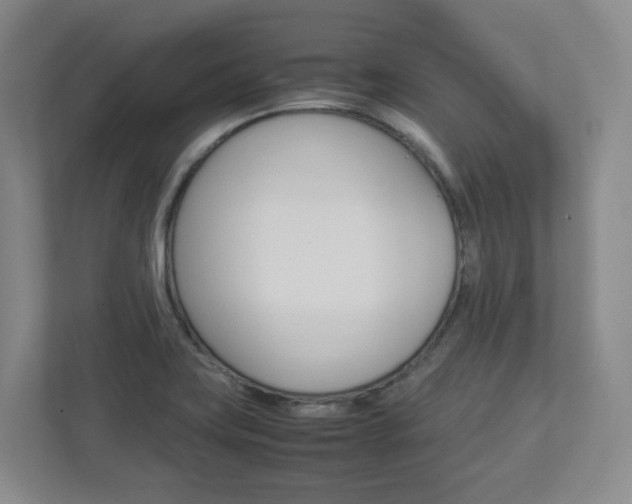 X0000112951419200908241018