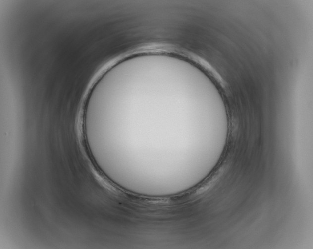 X0000112951421200908241018