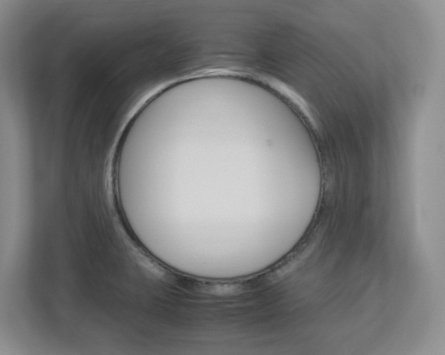 X0000112951423200908241018