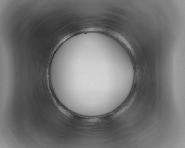 X0000112951425200908241018