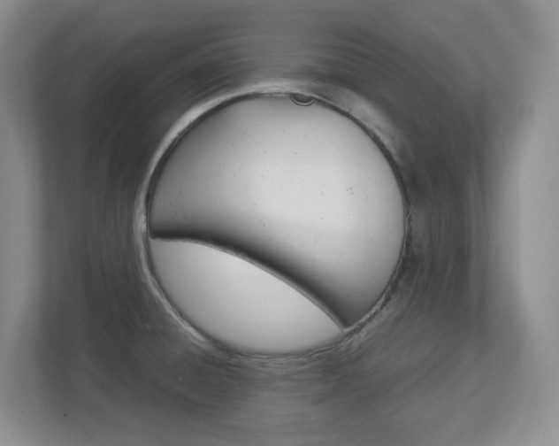 X0000112951428200908241018