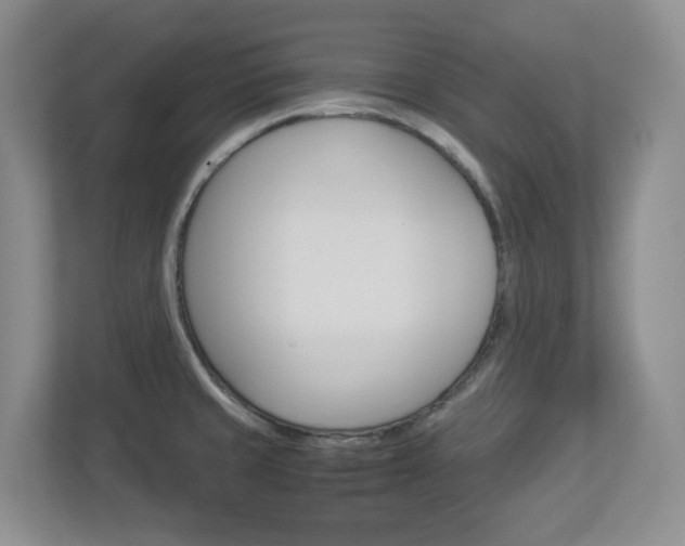X0000112951429200908241018