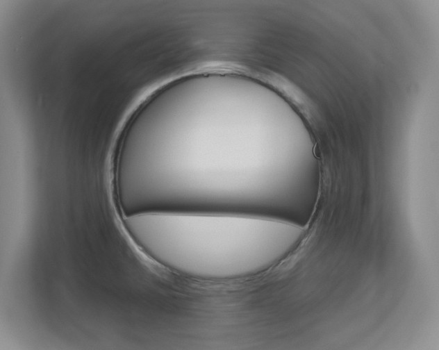 X0000112951430200908241018