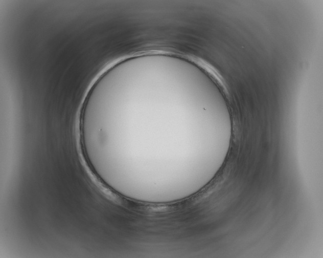 X0000112951431200908241018