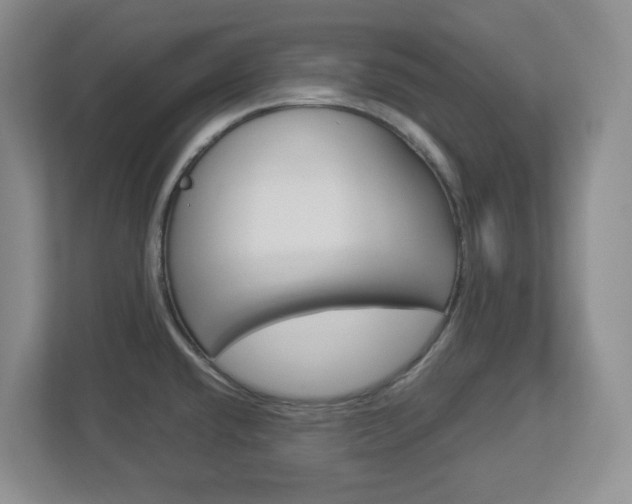 X0000112951432200908241018