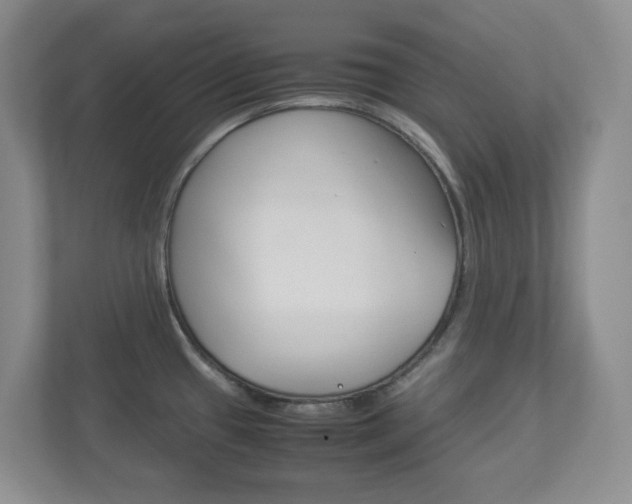 X0000112951433200908241018