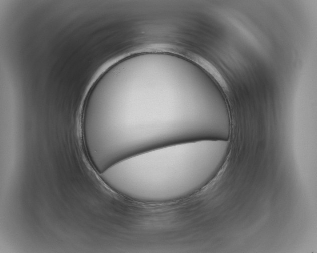 X0000112951436200908241018