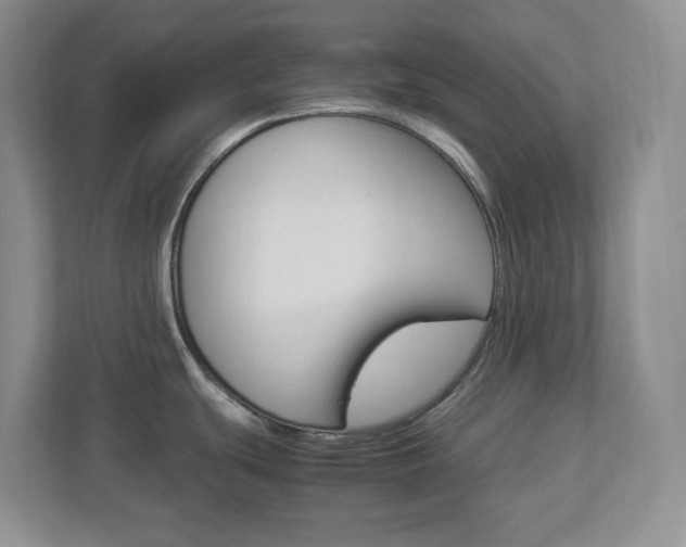 X0000112951439200908241018