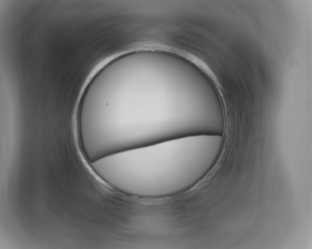 X0000112951440200908241018