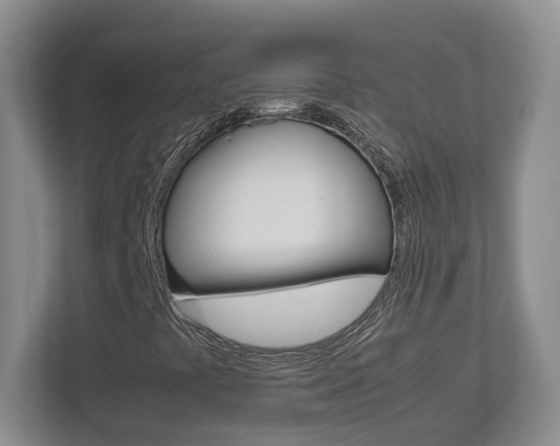 X0000112951441200908241017