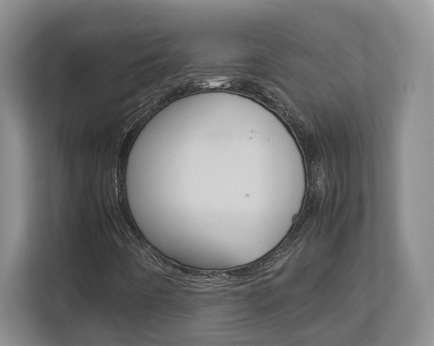 X0000112951442200908241017