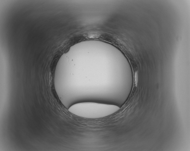 X0000112951443200908241017