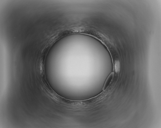 X0000112951444200908241017