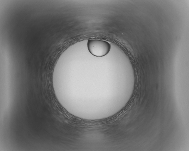 X0000112951445200908241017