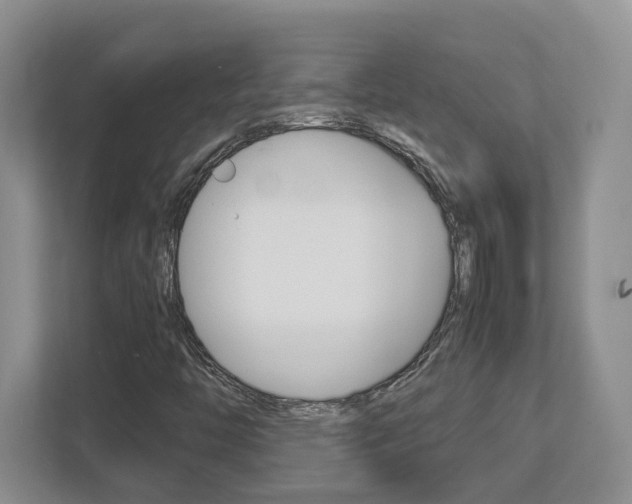 X0000112951446200908241017