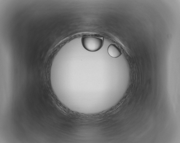 X0000112951448200908241017