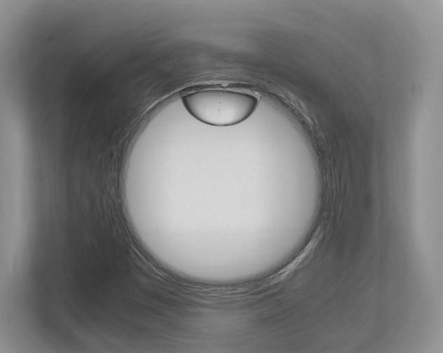 X0000112951449200908241017