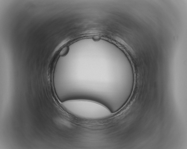 X0000112951450200908241017