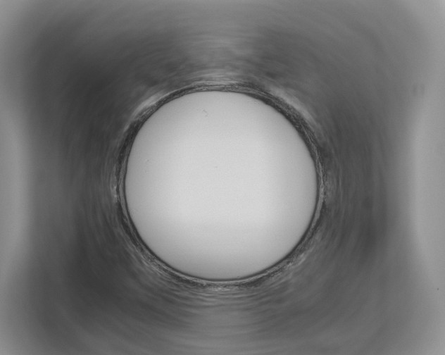 X0000112951451200908241017