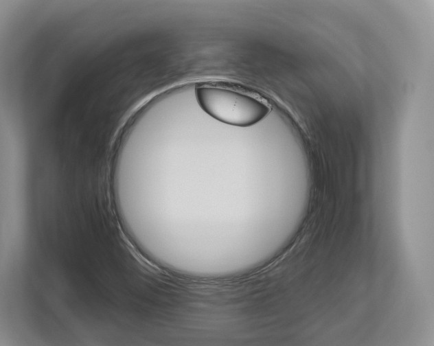 X0000112951452200908241017