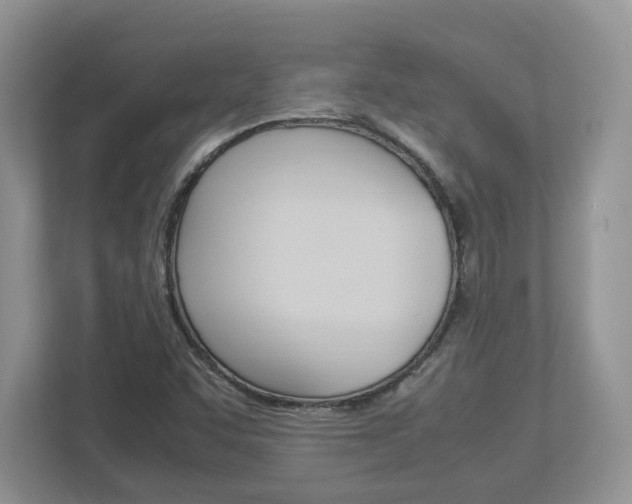 X0000112951455200908241017